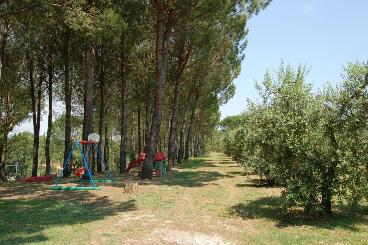 Agriturismo Il Selvino Terricciola エクステリア 写真