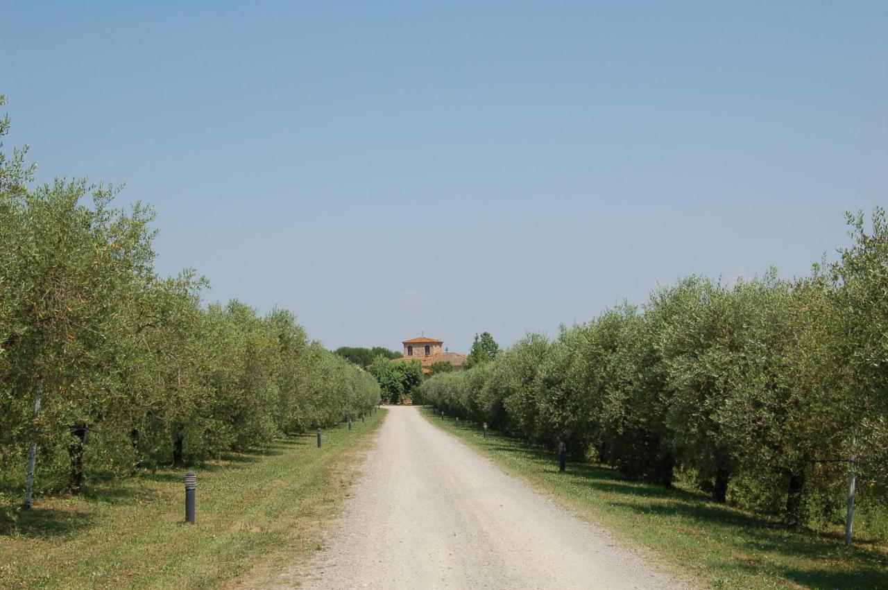 Agriturismo Il Selvino Terricciola エクステリア 写真
