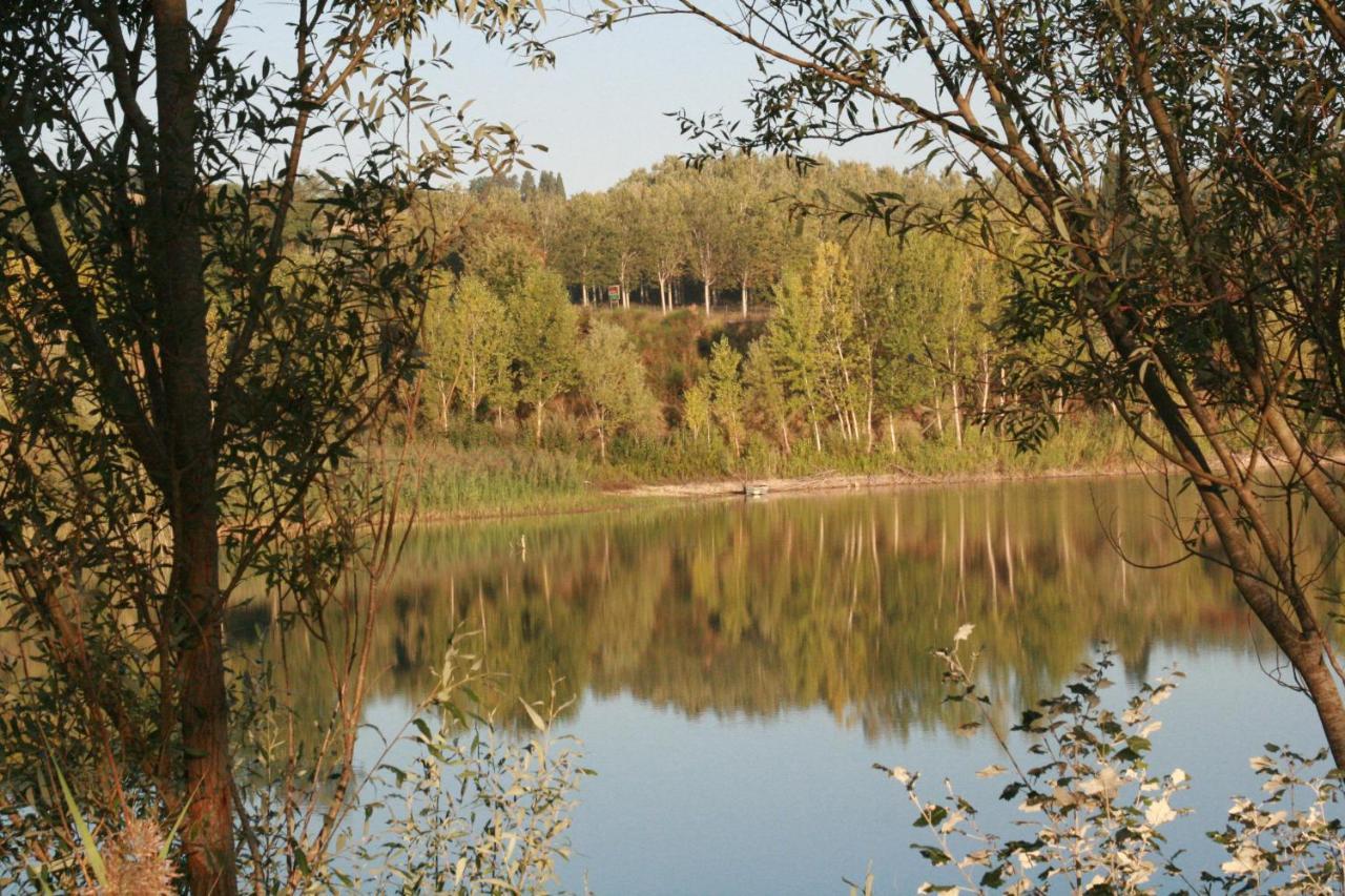 Agriturismo Il Selvino Terricciola エクステリア 写真