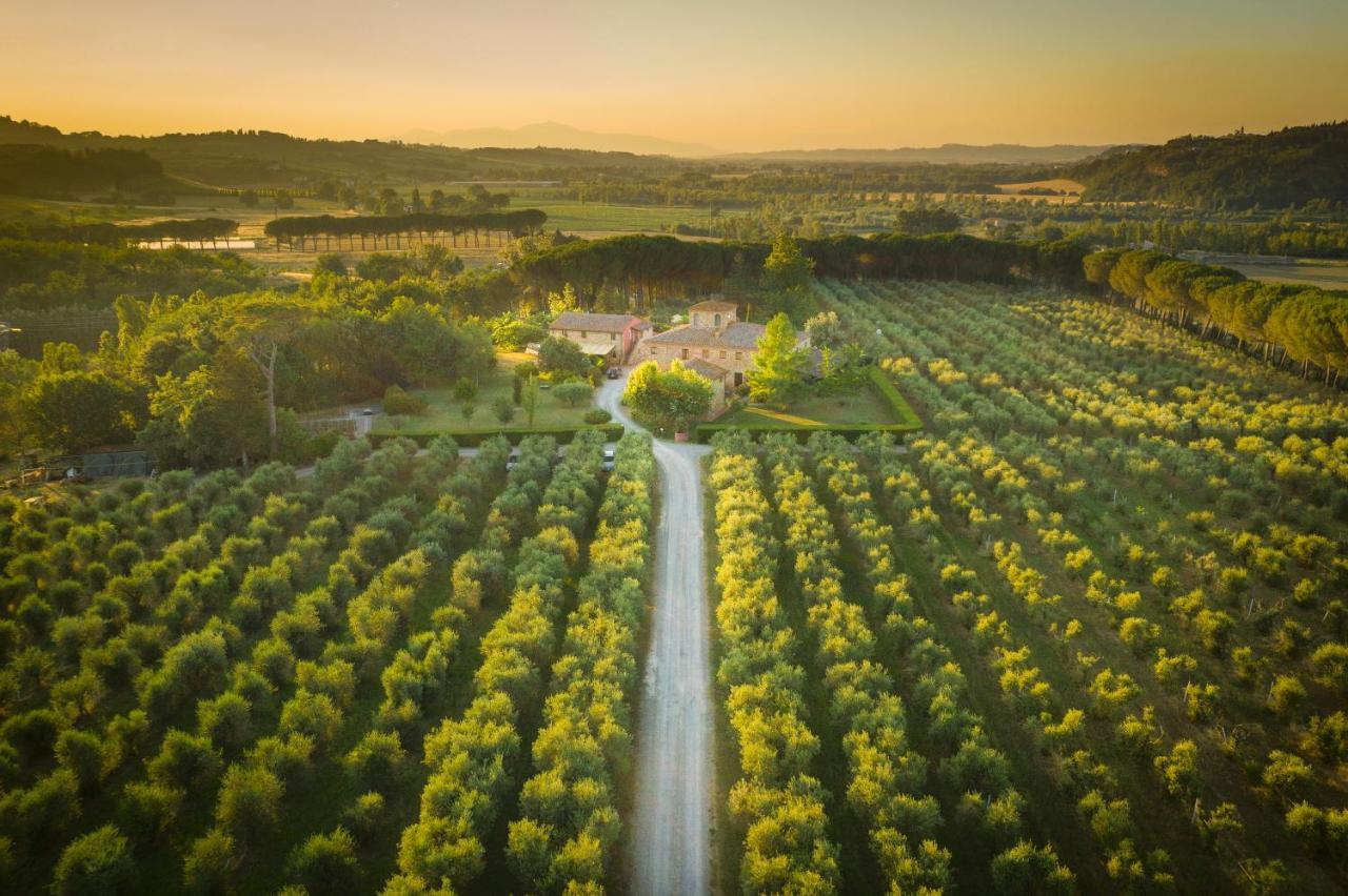 Agriturismo Il Selvino Terricciola エクステリア 写真